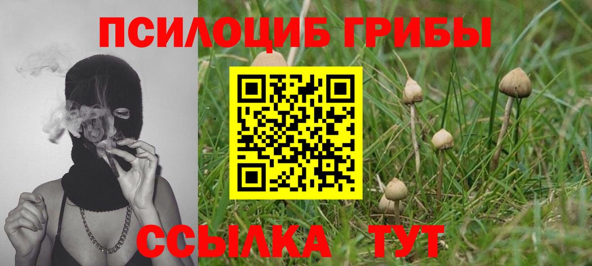 Наро-Фоминск  Галлюциногенные грибы ЛСД  Галлюциногенные грибы MAGIC MUSHROOMS  Вход с VPN 